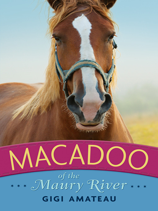 Cover image for Macadoo